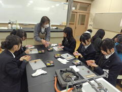 令和７年度 和菓子講習会(２回目)